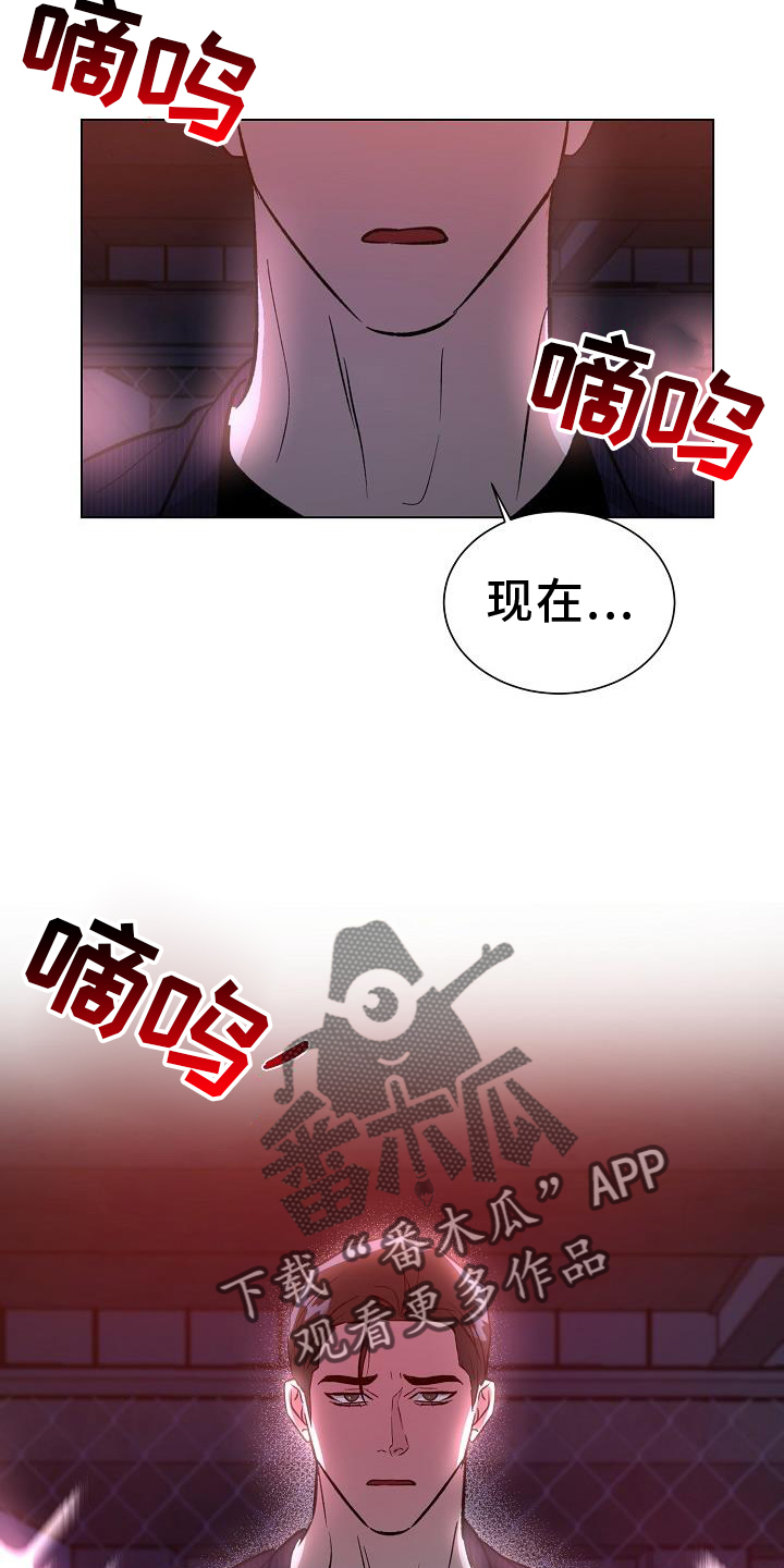 《新的牢笼》漫画最新章节第55章：无法预测免费下拉式在线观看章节第【17】张图片