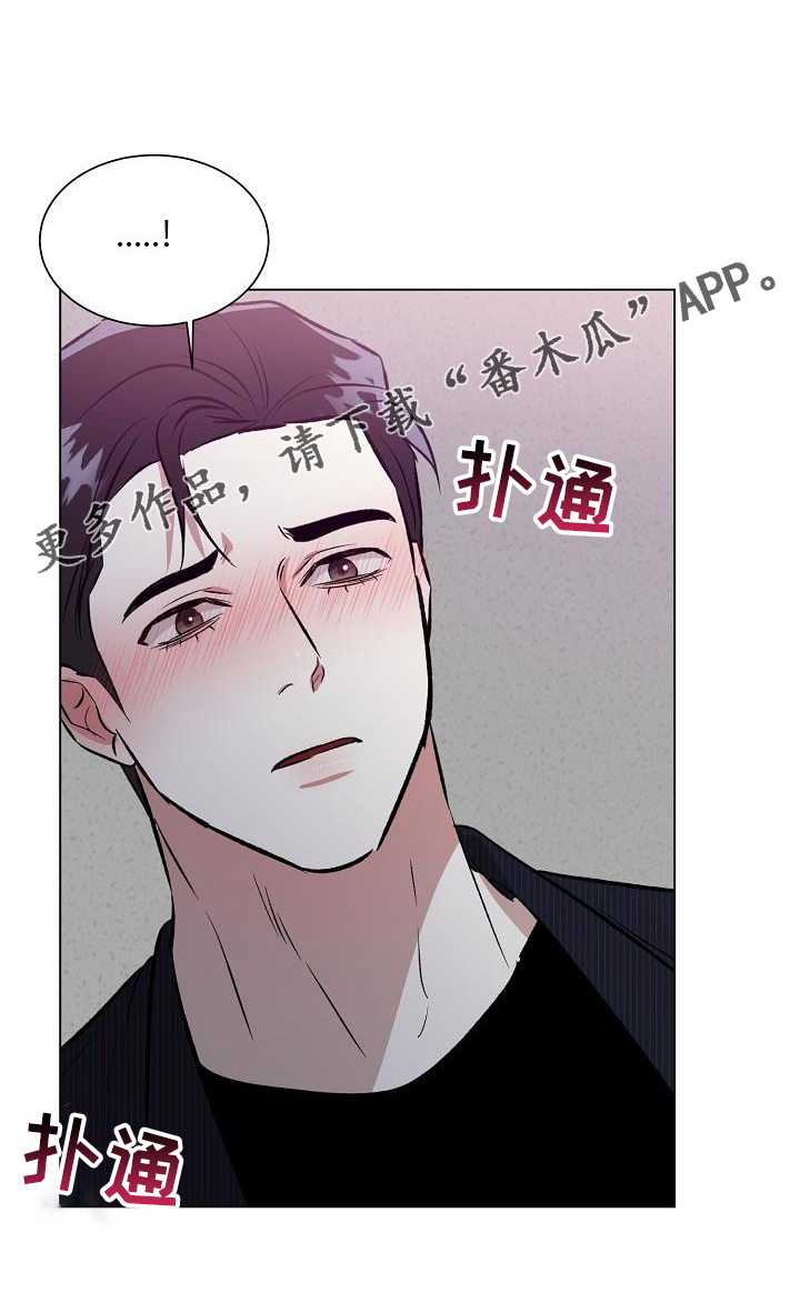 《新的牢笼》漫画最新章节第56章：坦言免费下拉式在线观看章节第【1】张图片