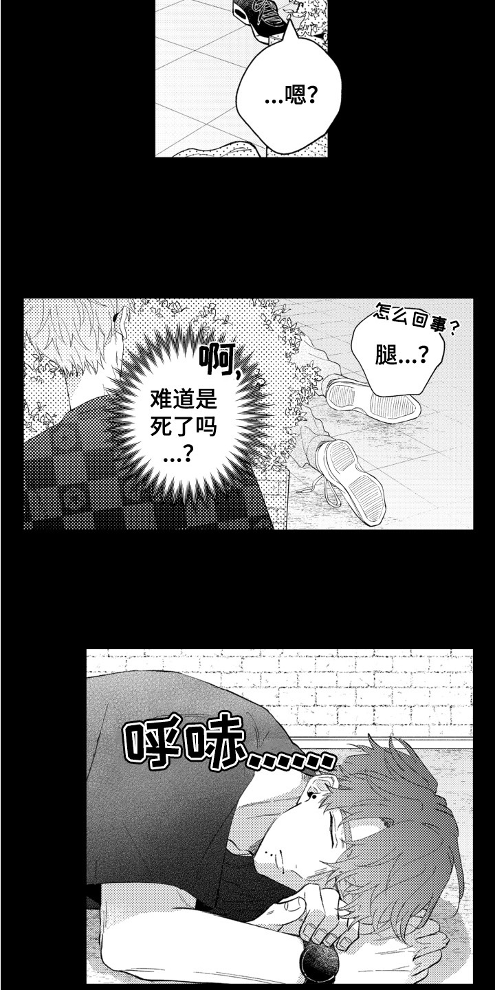 《攻陷替身》漫画最新章节第1章：带回家免费下拉式在线观看章节第【10】张图片