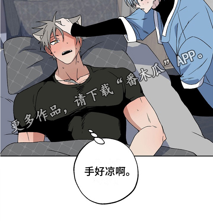 《兽宠若惊》漫画最新章节第5章：发作免费下拉式在线观看章节第【1】张图片