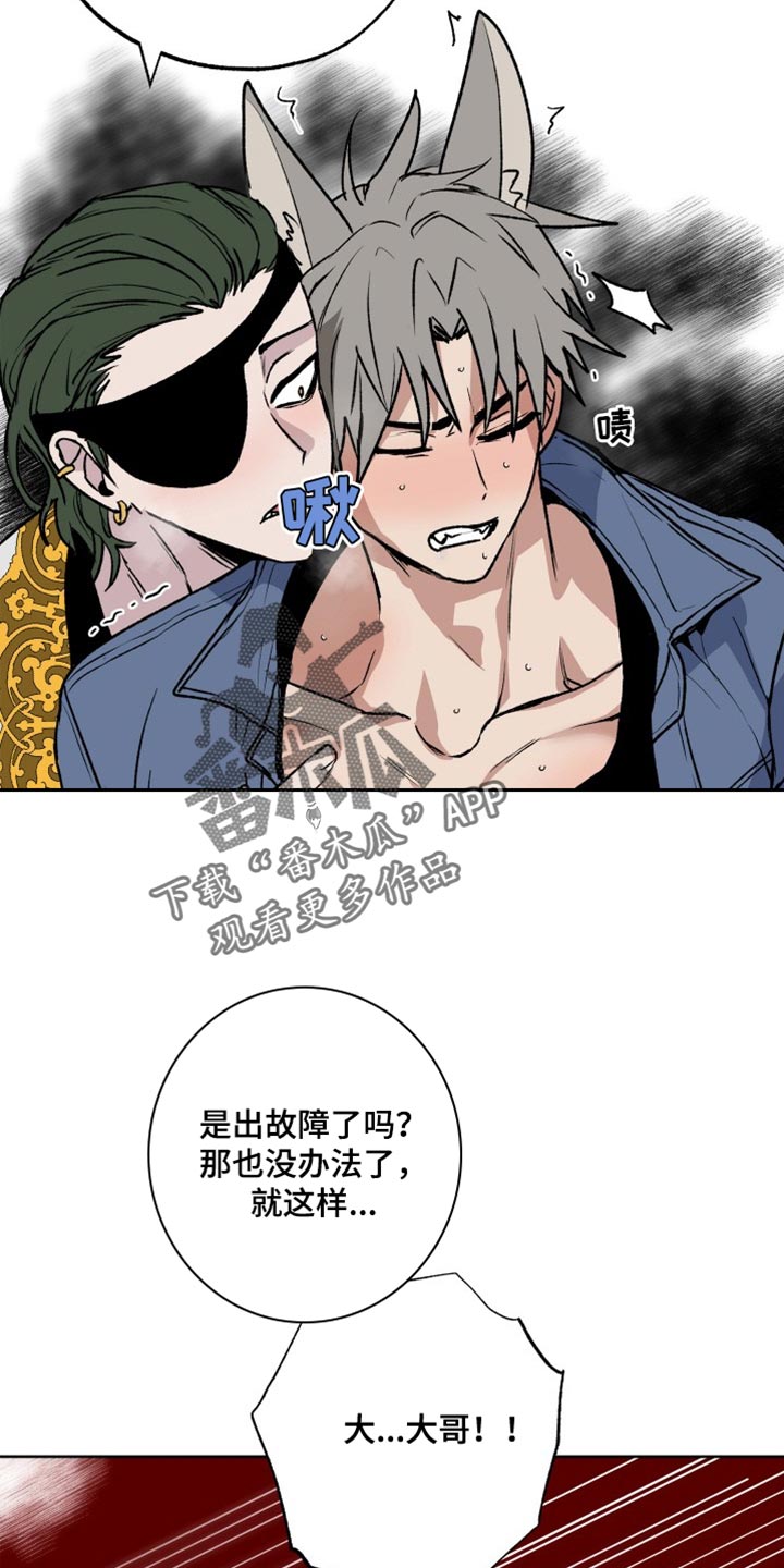 《兽宠若惊》漫画最新章节第27章：晕倒免费下拉式在线观看章节第【7】张图片