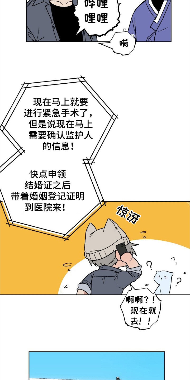 《兽宠若惊》漫画最新章节第34章：领证免费下拉式在线观看章节第【15】张图片