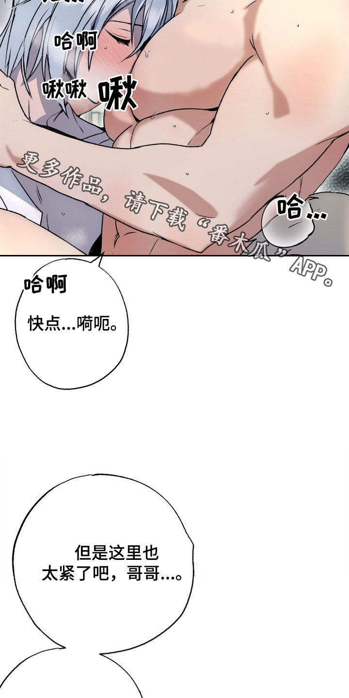 《兽宠若惊》漫画最新章节第50章：新婚旅行免费下拉式在线观看章节第【2】张图片