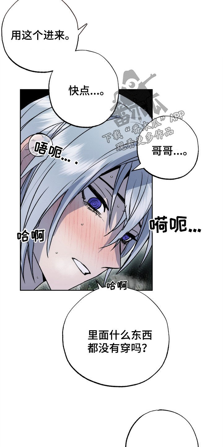 《兽宠若惊》漫画最新章节第50章：新婚旅行免费下拉式在线观看章节第【5】张图片