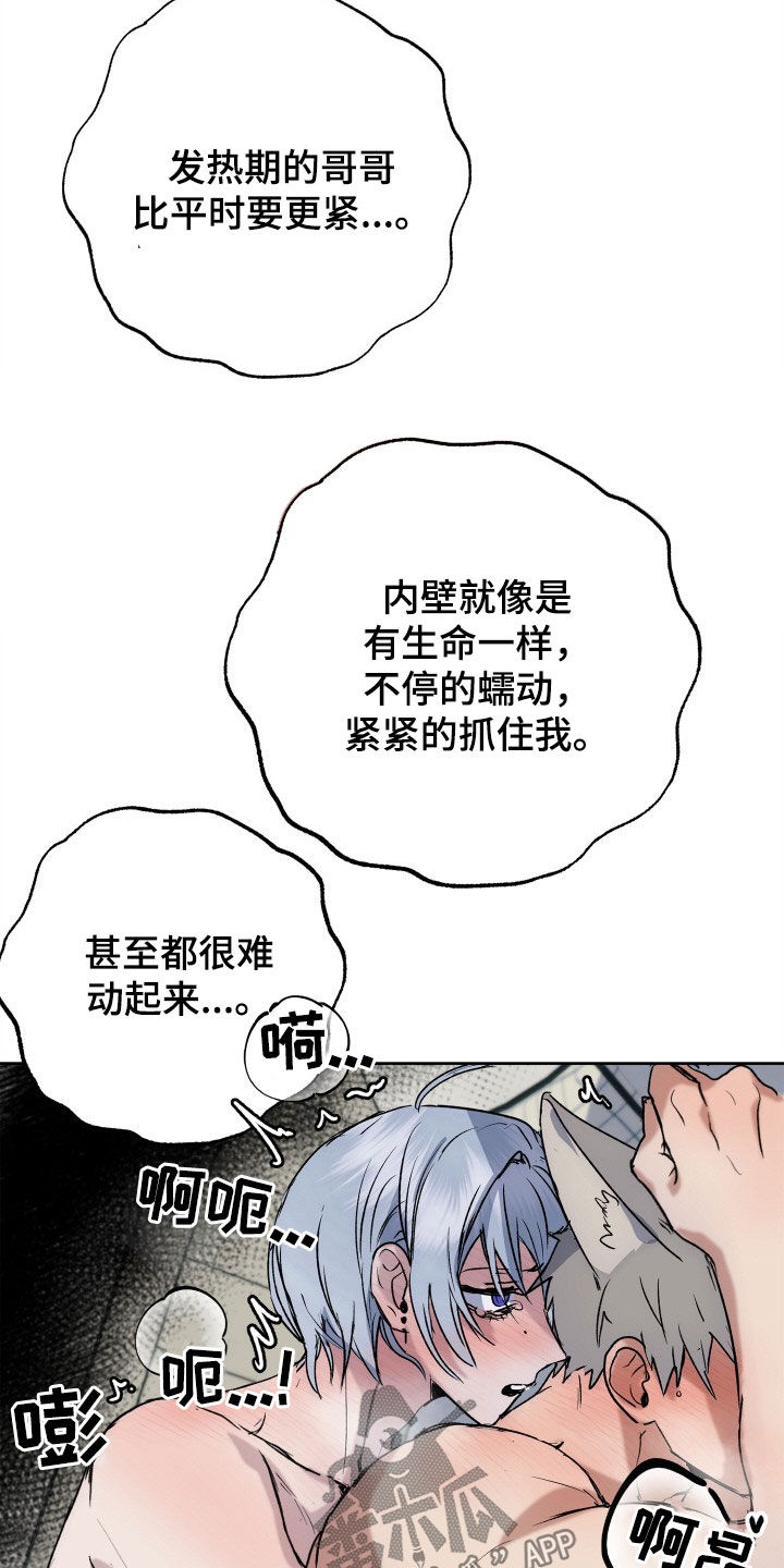 《兽宠若惊》漫画最新章节第51章：人生有意义（完结）免费下拉式在线观看章节第【28】张图片