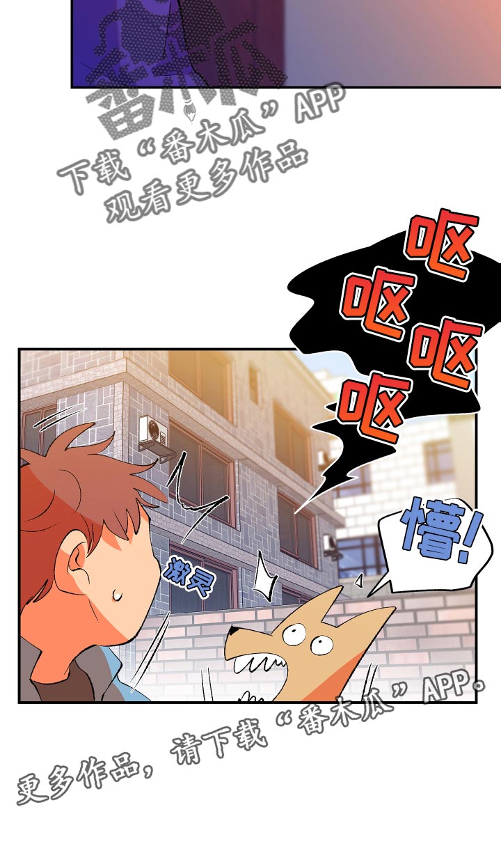 《隔壁的男人》漫画最新章节第16章：梦免费下拉式在线观看章节第【1】张图片