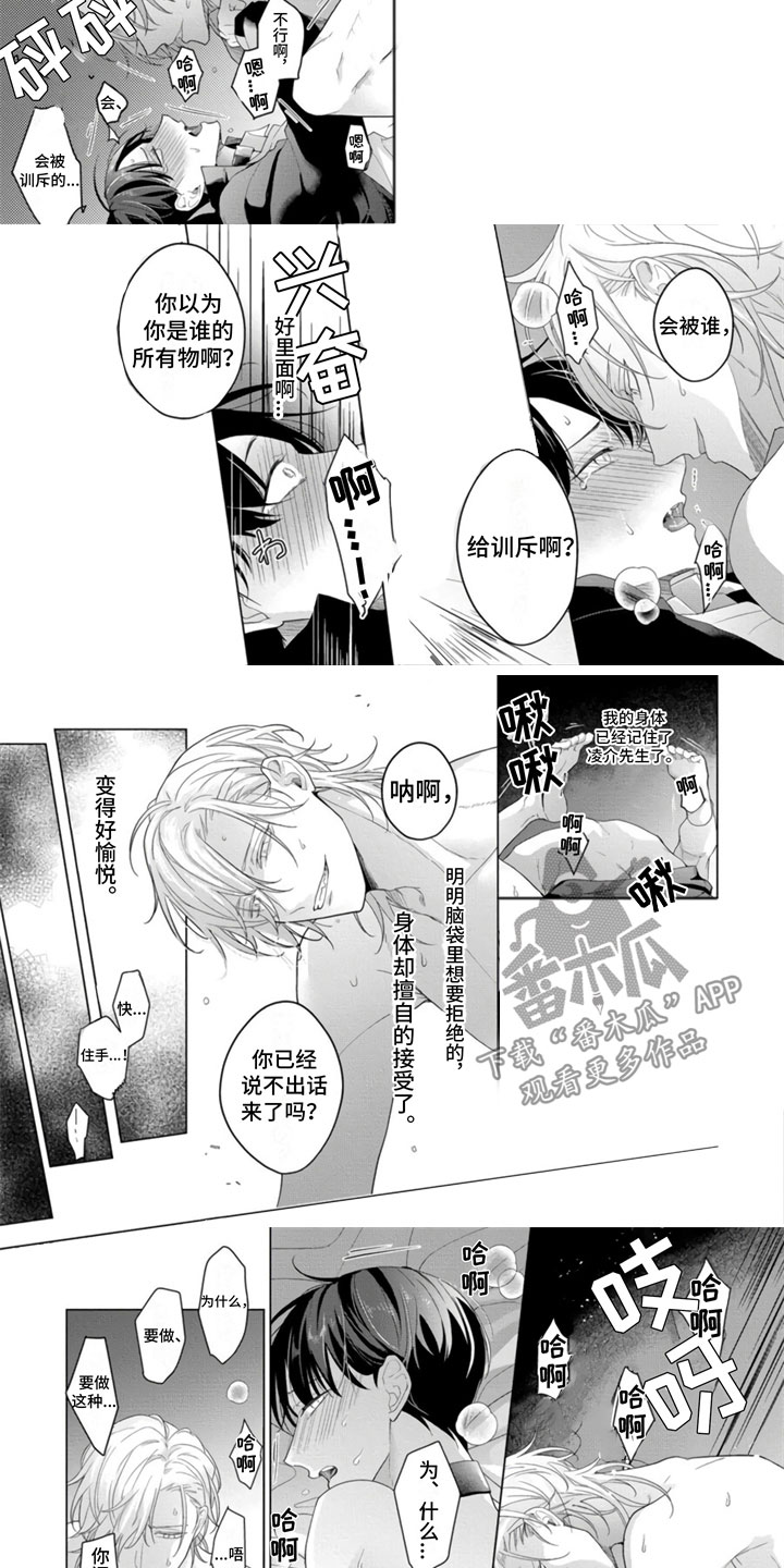 《公子的专属贝塔》漫画最新章节第12章：你属于我【第一季完结】免费下拉式在线观看章节第【3】张图片