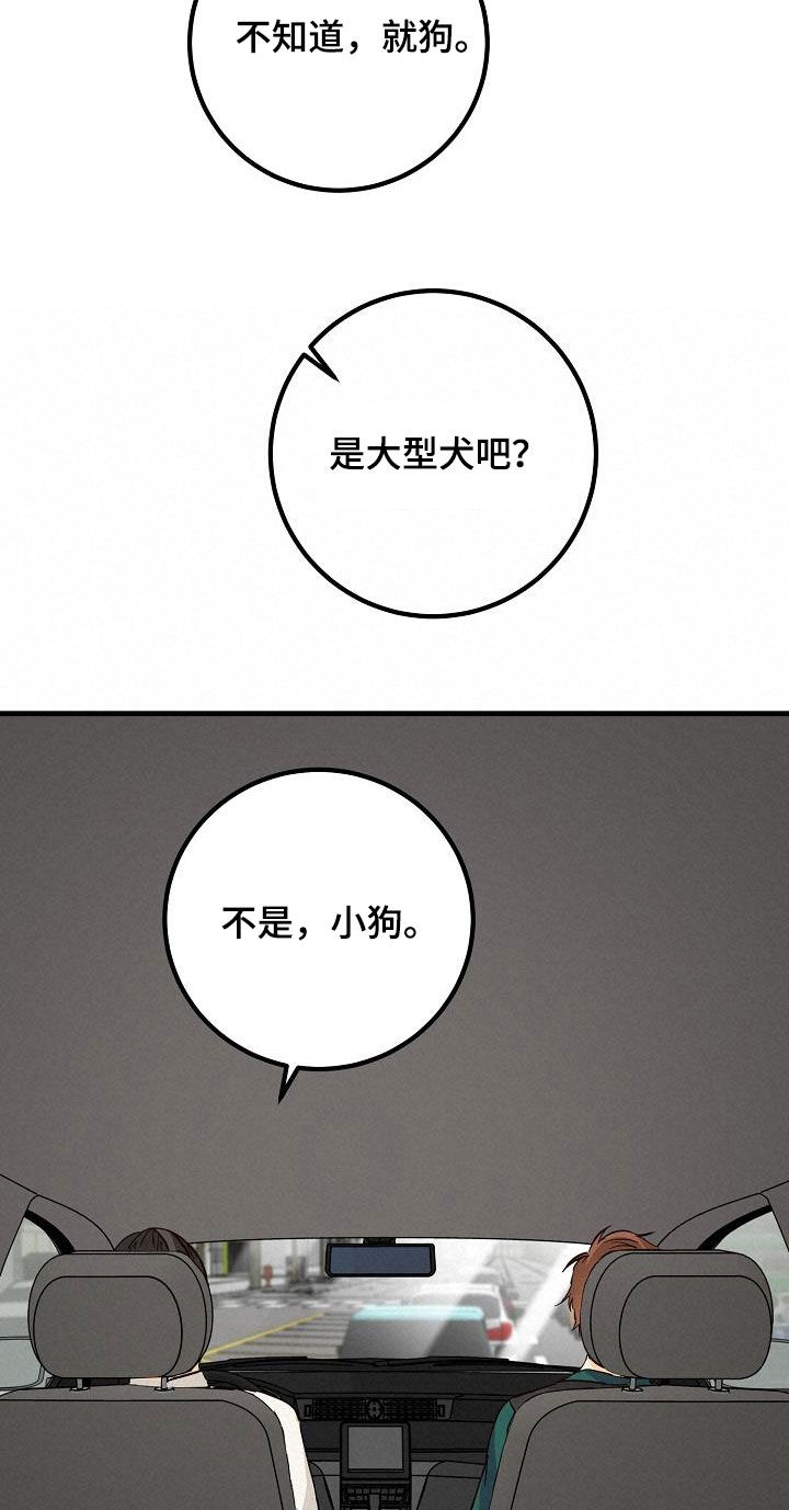 《心动的距离》漫画最新章节第38章：碰撞免费下拉式在线观看章节第【12】张图片