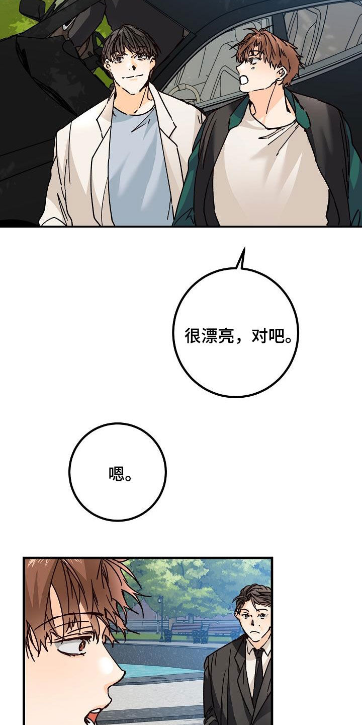 《心动的距离》漫画最新章节第39章：心跳加速免费下拉式在线观看章节第【13】张图片