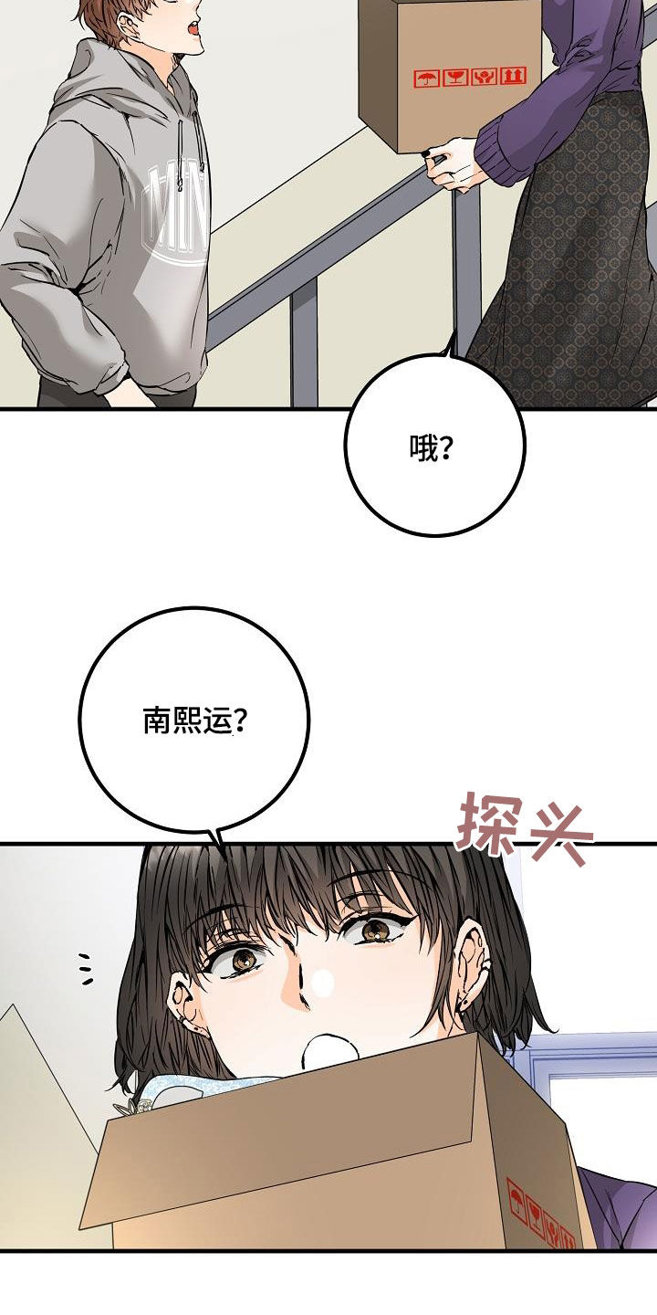 《心动的距离》漫画最新章节第59章：帖子免费下拉式在线观看章节第【12】张图片