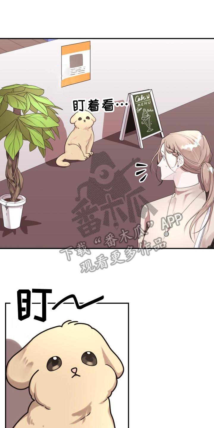 《男神们在身边》漫画最新章节第6章：拒绝免费下拉式在线观看章节第【3】张图片