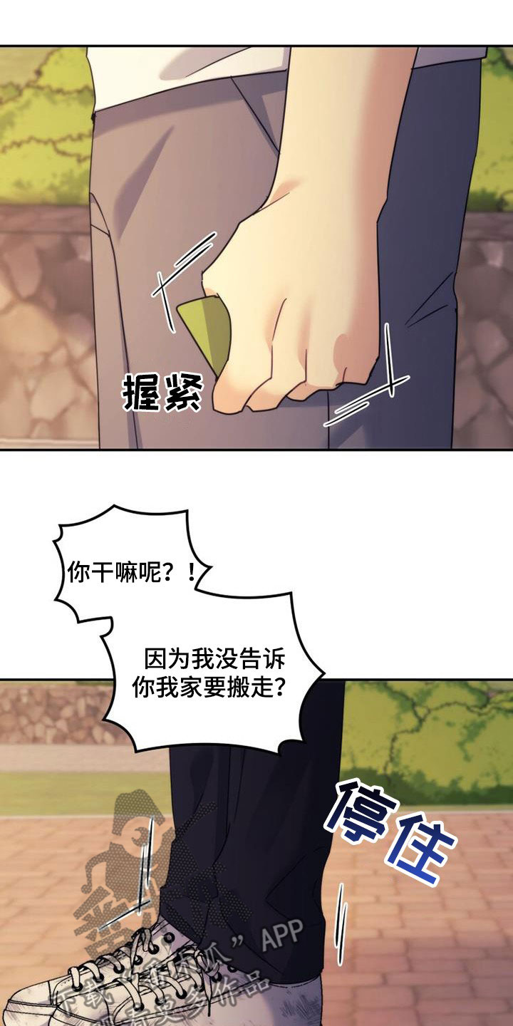 《追逐繁星》漫画最新章节第42章：为什么生气免费下拉式在线观看章节第【10】张图片