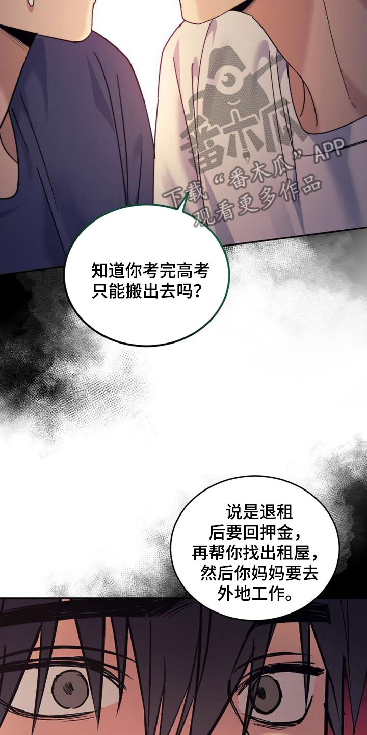 《追逐繁星》漫画最新章节第43章：隐情免费下拉式在线观看章节第【16】张图片