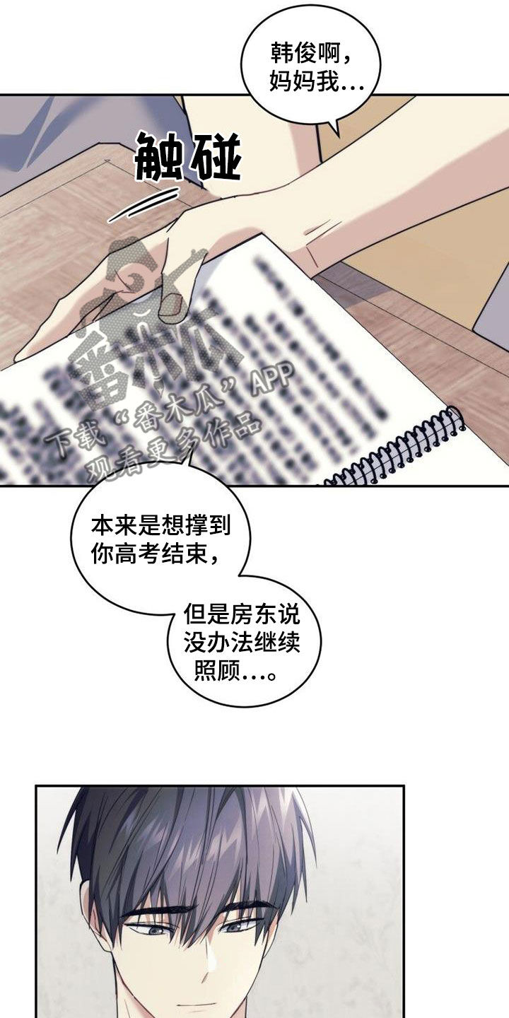 《追逐繁星》漫画最新章节第53章：期待明年免费下拉式在线观看章节第【14】张图片