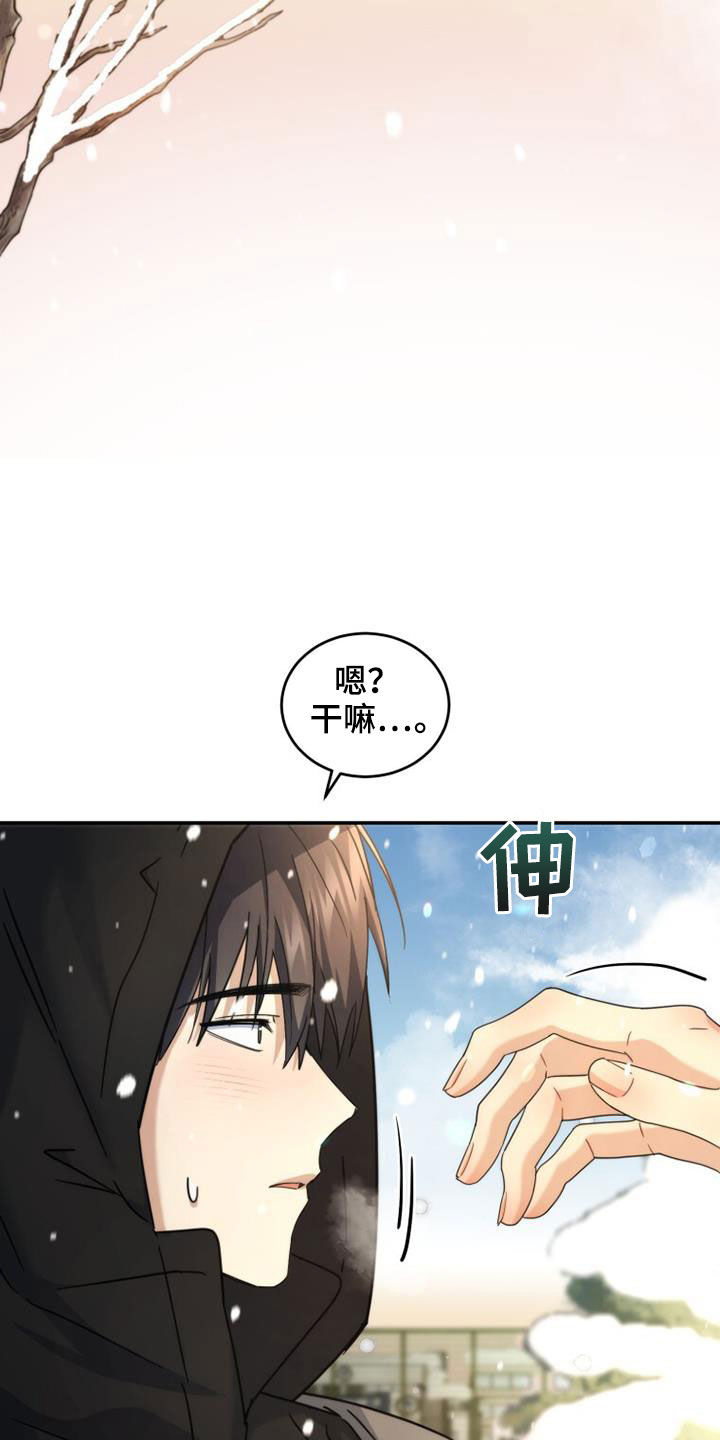 《追逐繁星》漫画最新章节第56章：高考免费下拉式在线观看章节第【20】张图片