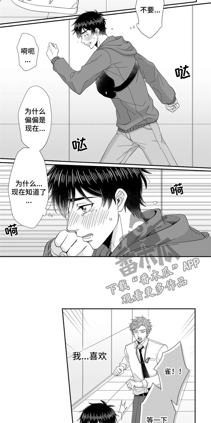 《被高规格帅哥撩到》漫画最新章节第20章：表白免费下拉式在线观看章节第【10】张图片