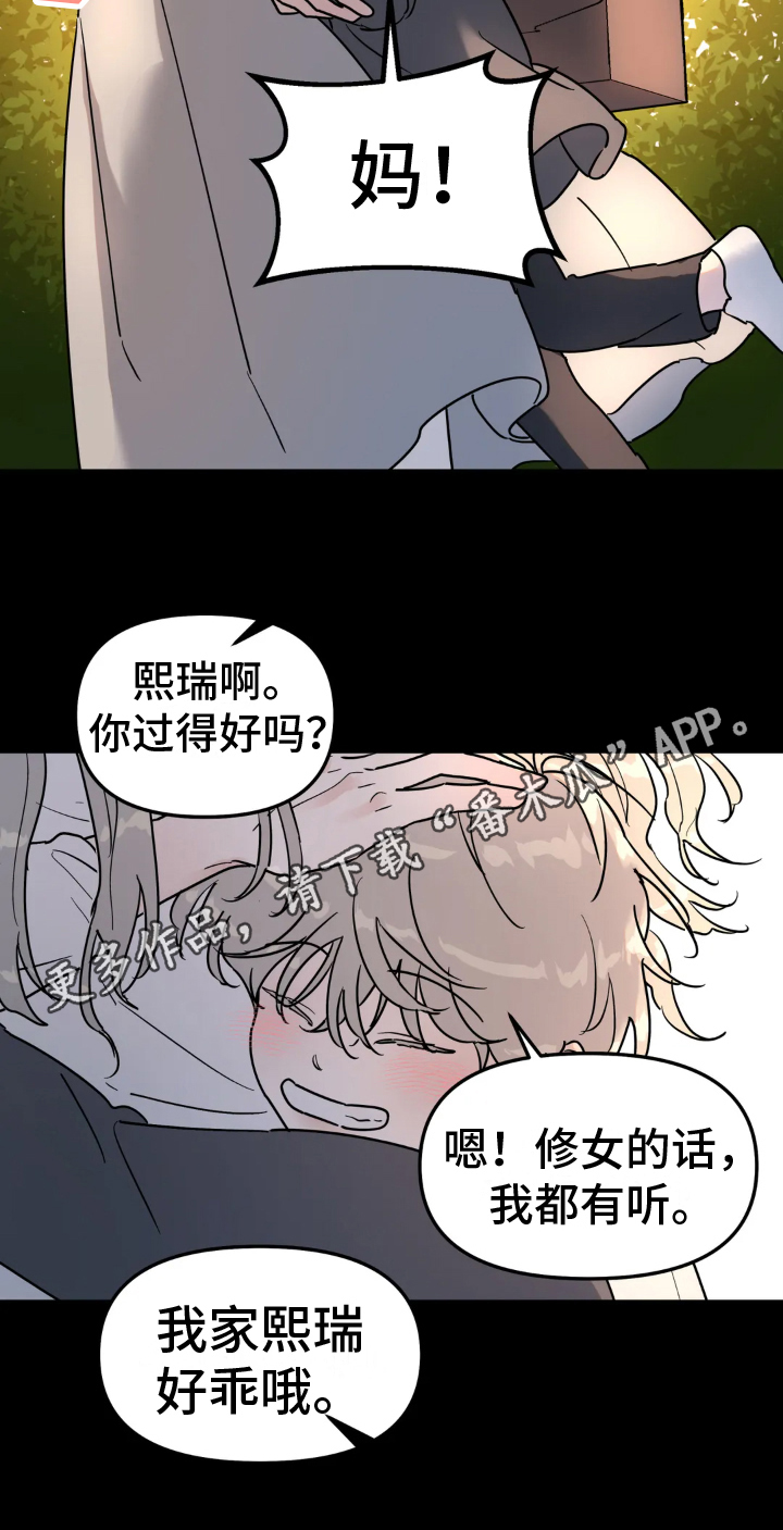 《无根之树》漫画最新章节第14章：决心免费下拉式在线观看章节第【1】张图片