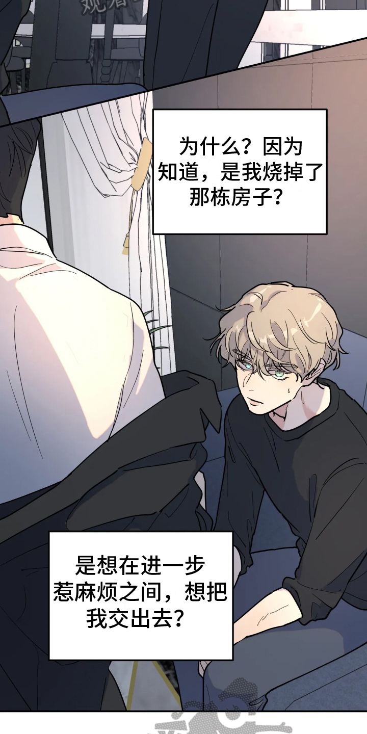 《无根之树》漫画最新章节第17章：躲藏免费下拉式在线观看章节第【4】张图片