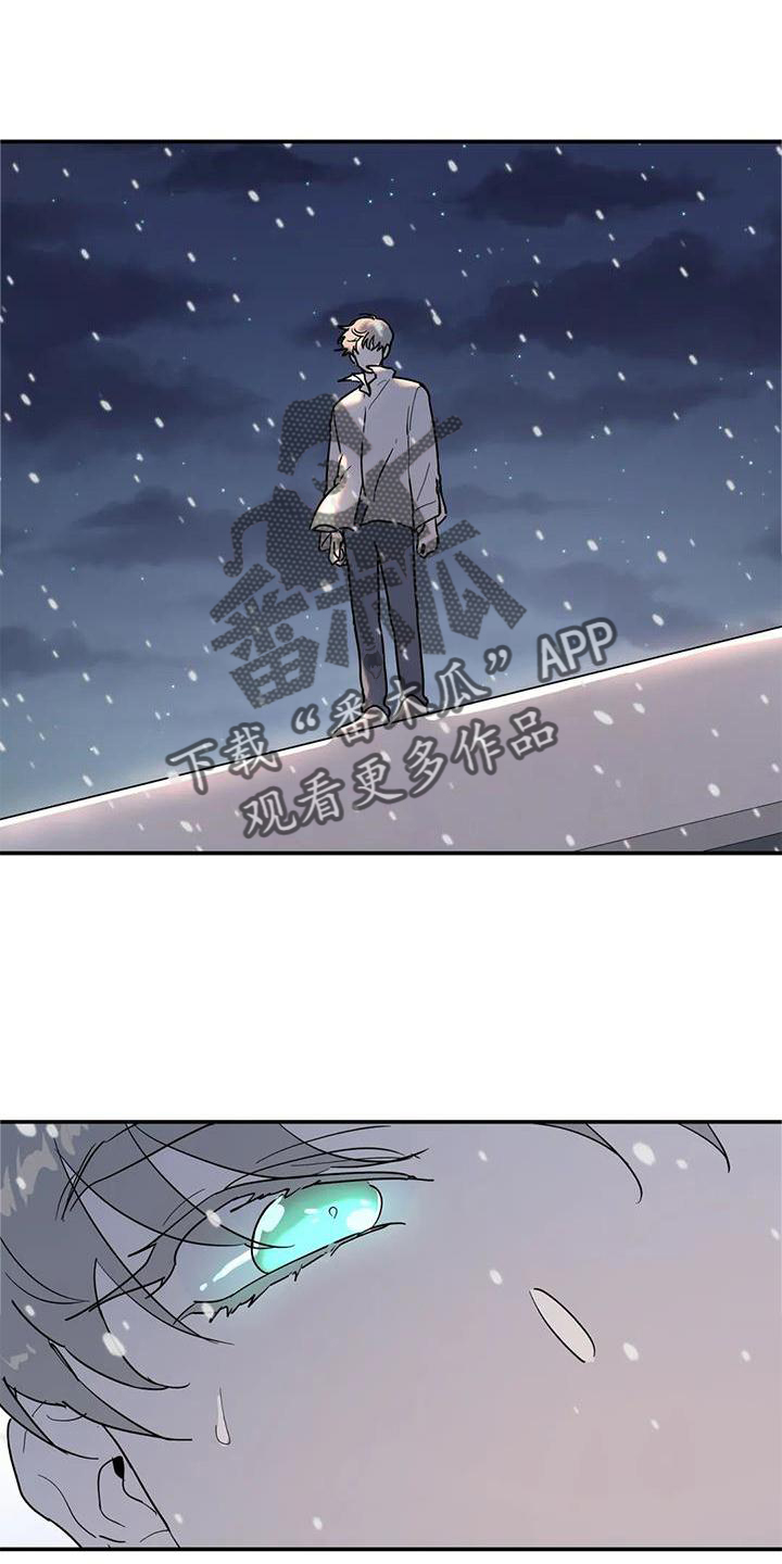 《无根之树》漫画最新章节第25章：意义免费下拉式在线观看章节第【6】张图片