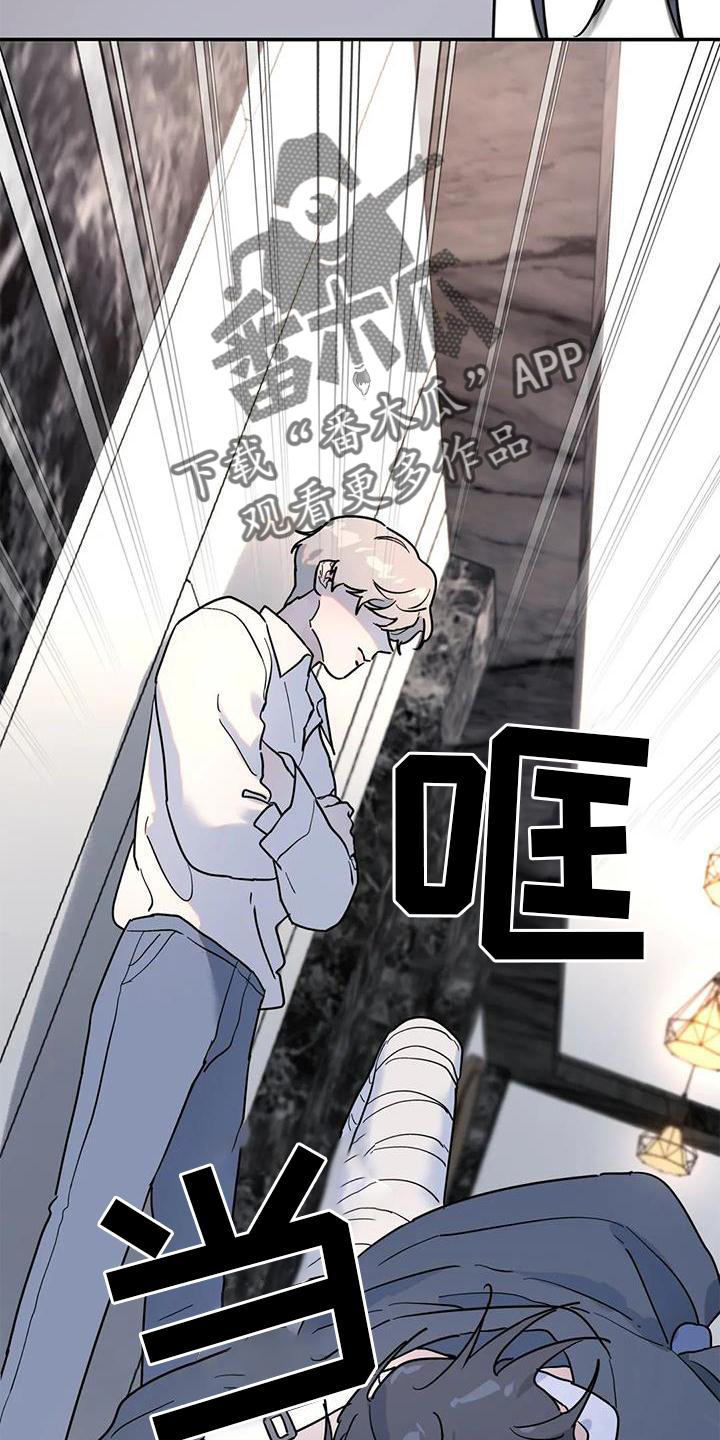 《无根之树》漫画最新章节第28章：果然免费下拉式在线观看章节第【8】张图片