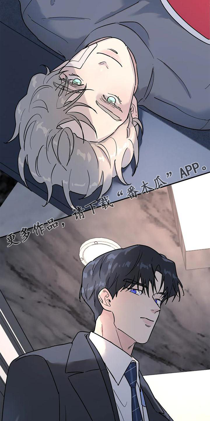 《无根之树》漫画最新章节第30章：合适免费下拉式在线观看章节第【11】张图片