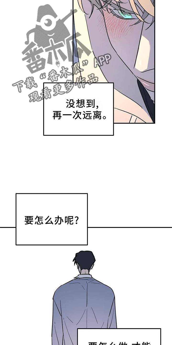 《无根之树》漫画最新章节第38章：梦话免费下拉式在线观看章节第【18】张图片