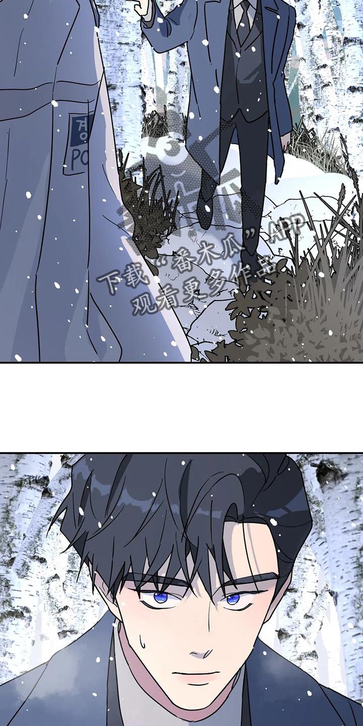 《无根之树》漫画最新章节第48章：离职免费下拉式在线观看章节第【12】张图片