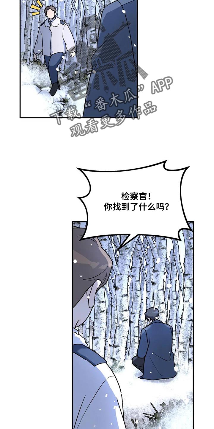 《无根之树》漫画最新章节第49章：这里什么都没有免费下拉式在线观看章节第【12】张图片