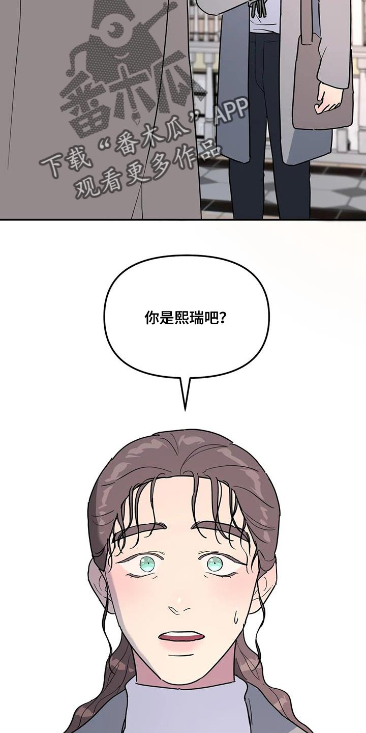 《无根之树》漫画最新章节第49章：这里什么都没有免费下拉式在线观看章节第【2】张图片