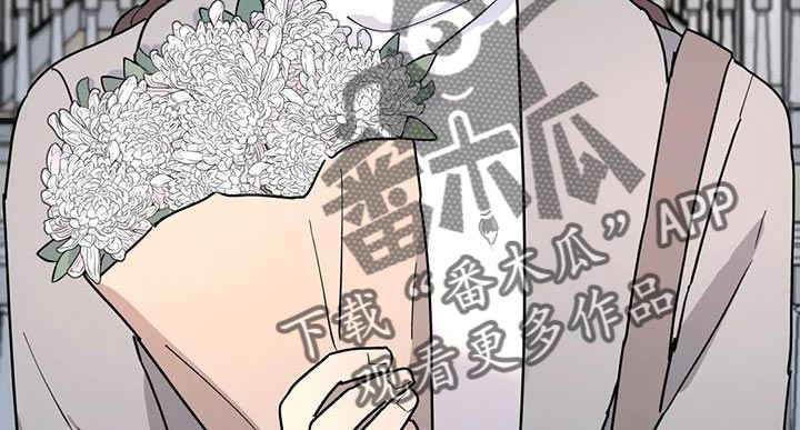 《无根之树》漫画最新章节第50章：撒谎免费下拉式在线观看章节第【17】张图片