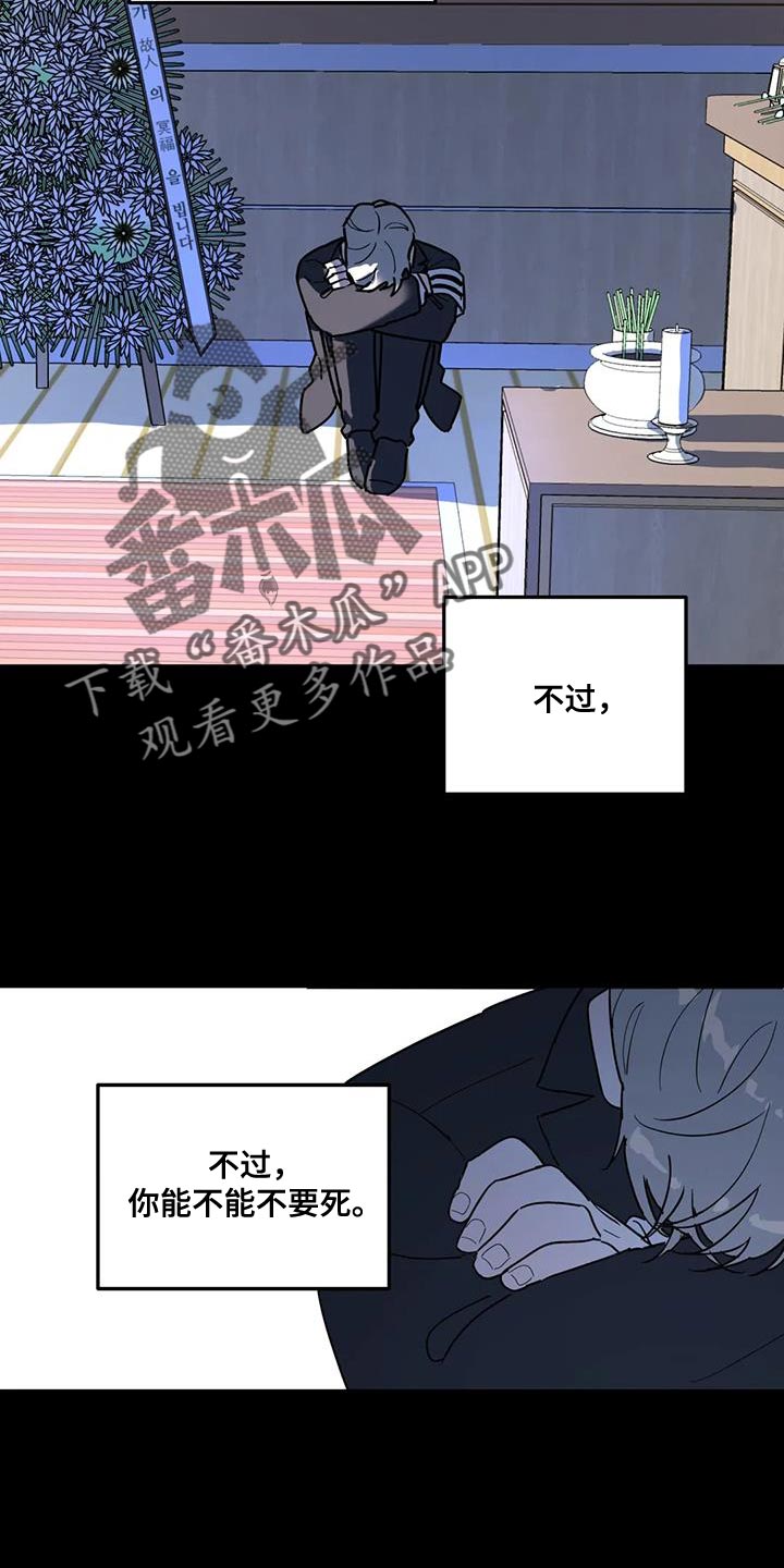 《无根之树》漫画最新章节第53章：能不能放过我免费下拉式在线观看章节第【19】张图片