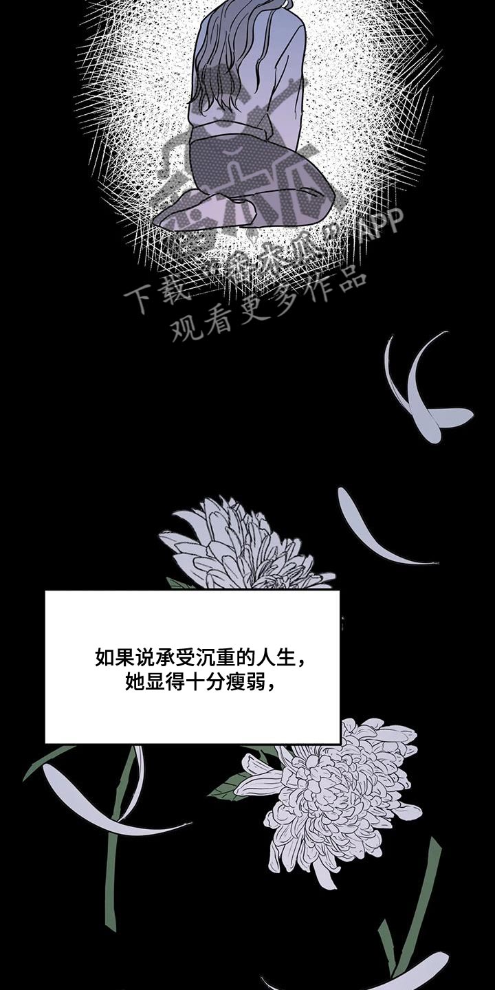 《无根之树》漫画最新章节第53章：能不能放过我免费下拉式在线观看章节第【22】张图片