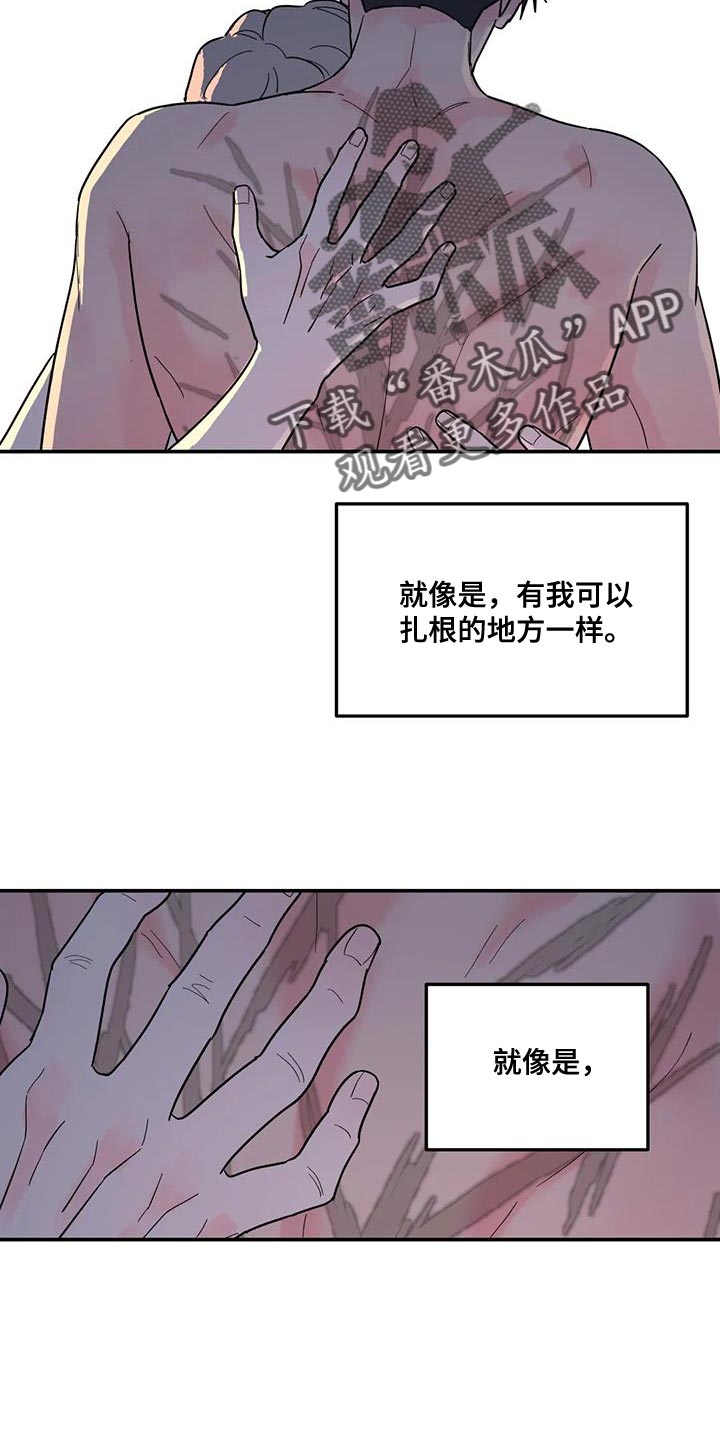 《无根之树》漫画最新章节第55章：神奇的人免费下拉式在线观看章节第【17】张图片