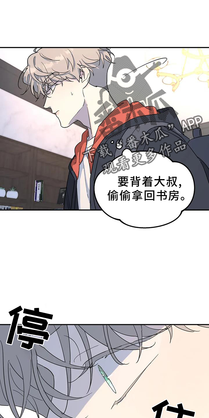 《无根之树》漫画最新章节第68章：照片免费下拉式在线观看章节第【4】张图片