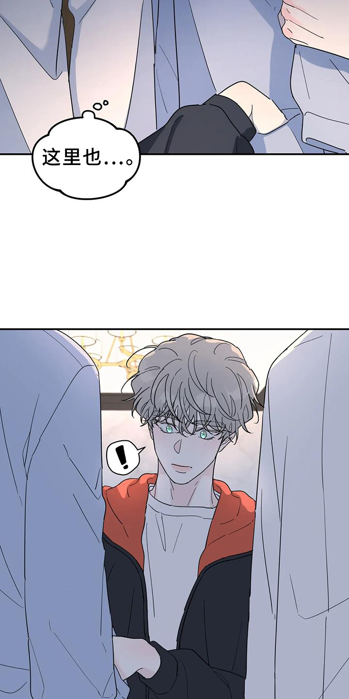 《无根之树》漫画最新章节第68章：照片免费下拉式在线观看章节第【9】张图片