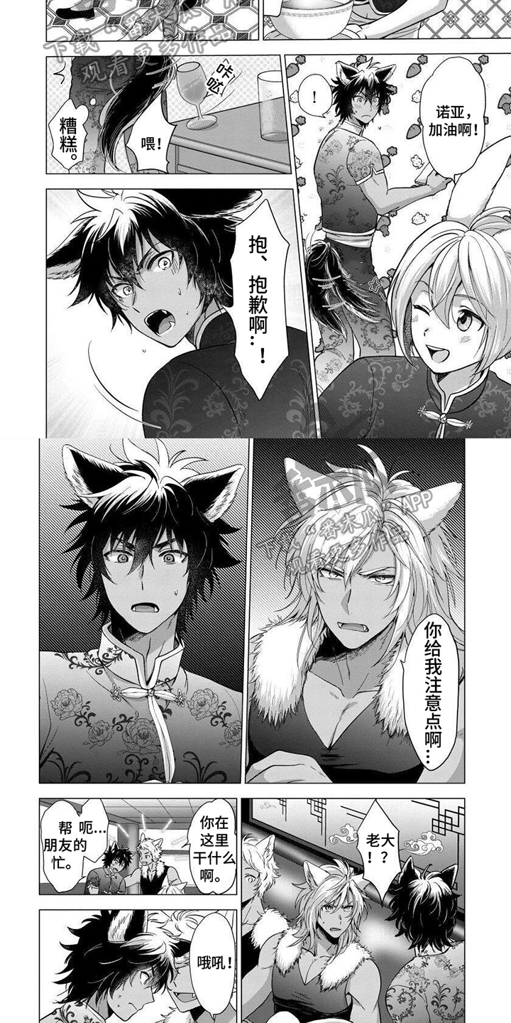 《兔兔卡哇一》漫画最新章节第10章：选择免费下拉式在线观看章节第【5】张图片