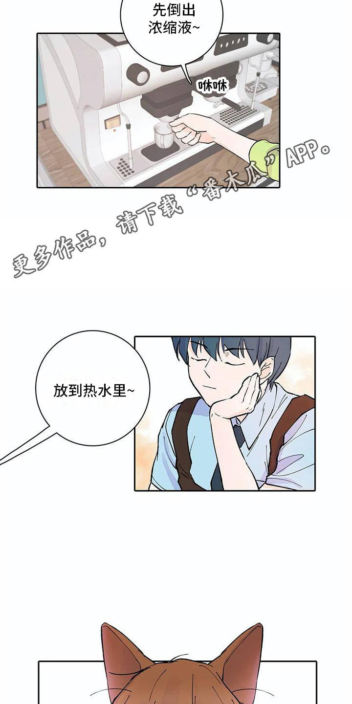 《狐狸咖啡店》漫画最新章节第11章：步骤免费下拉式在线观看章节第【8】张图片