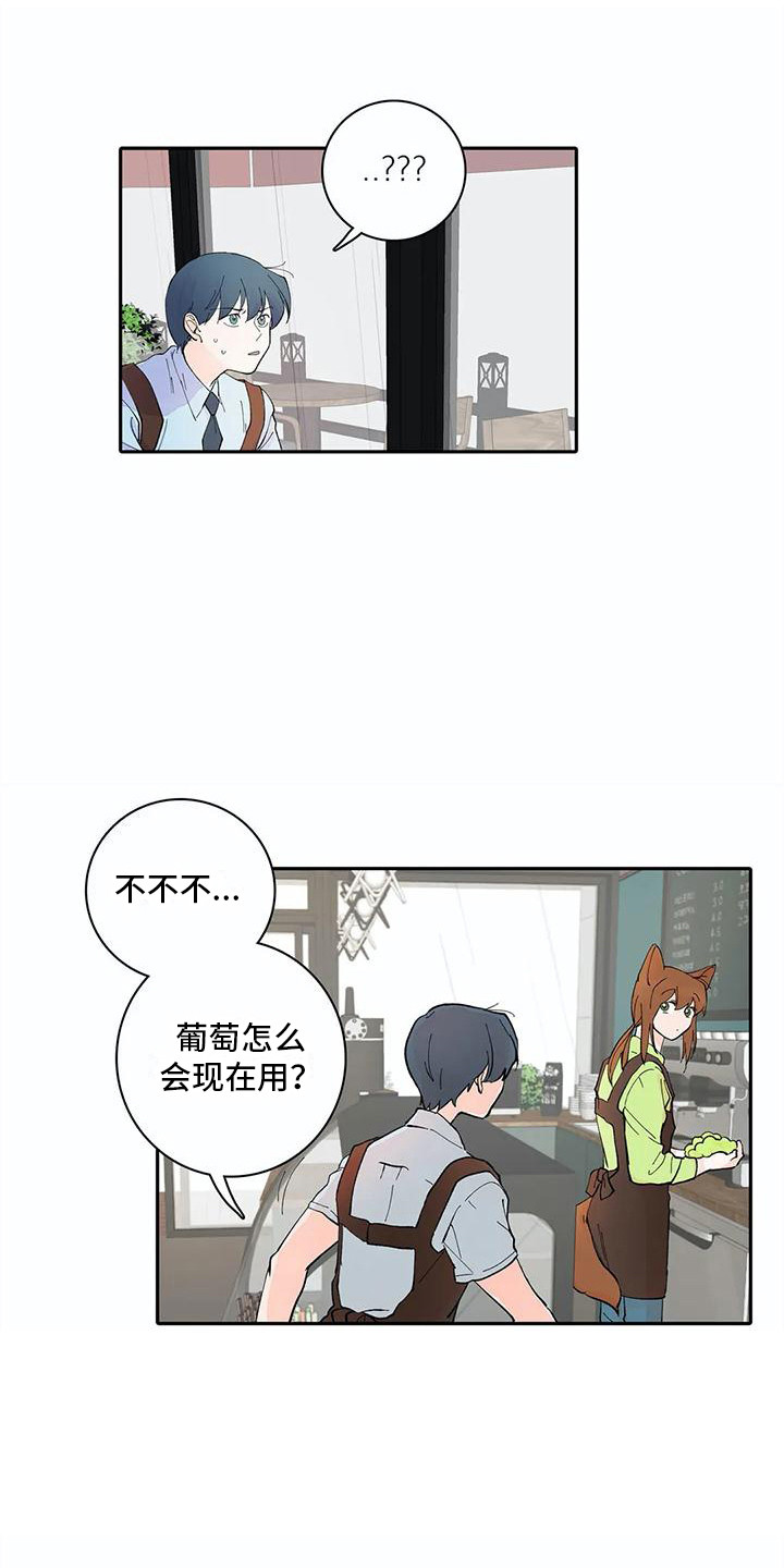 《狐狸咖啡店》漫画最新章节第11章：步骤免费下拉式在线观看章节第【3】张图片