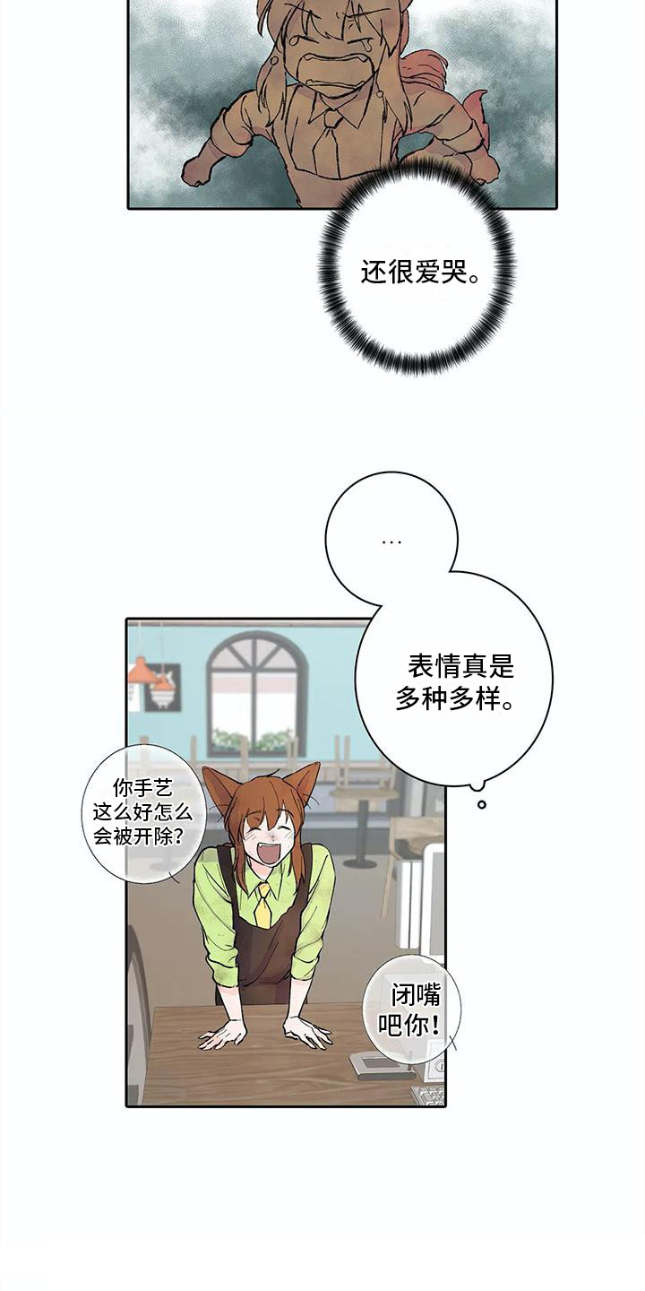 《狐狸咖啡店》漫画最新章节第11章：步骤免费下拉式在线观看章节第【15】张图片