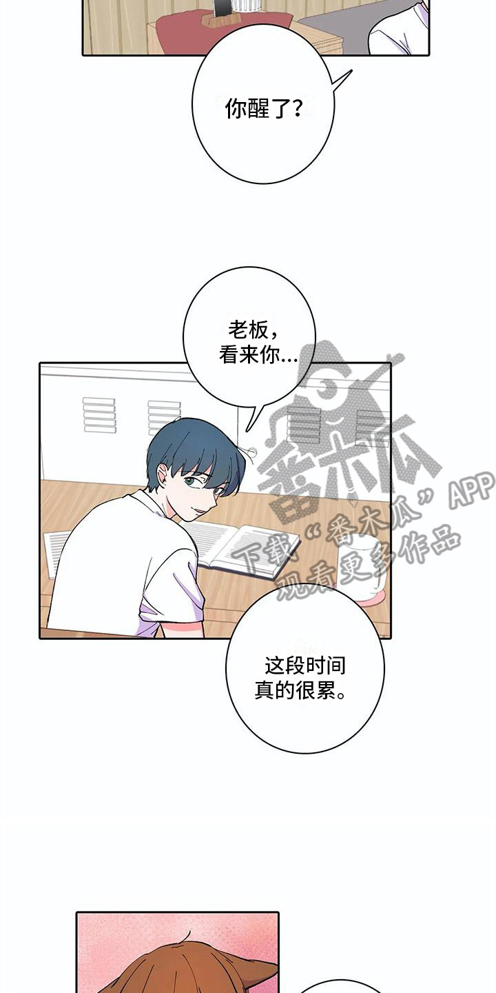 《狐狸咖啡店》漫画最新章节第19章：现出原形免费下拉式在线观看章节第【2】张图片