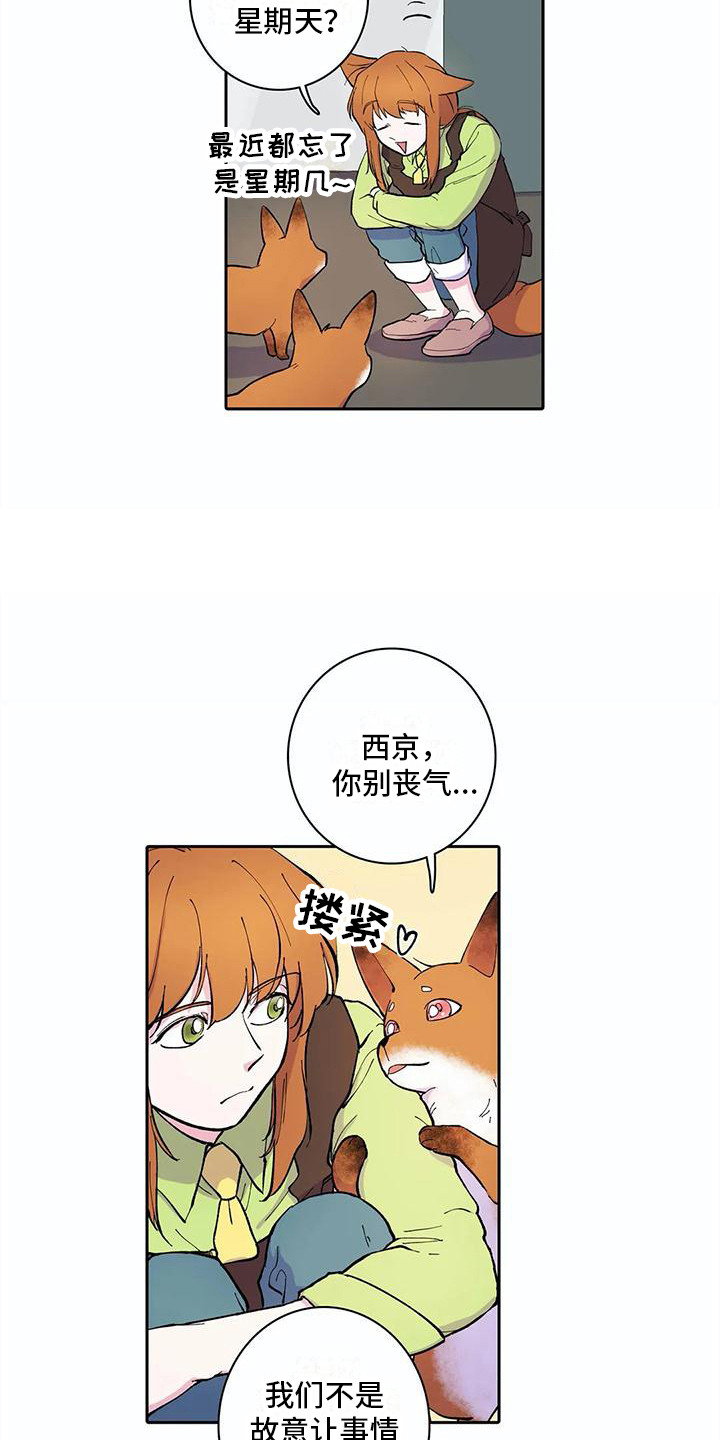 《狐狸咖啡店》漫画最新章节第28章：失魂落魄免费下拉式在线观看章节第【11】张图片