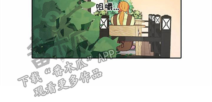 《狐狸咖啡店》漫画最新章节第29章：失败了免费下拉式在线观看章节第【1】张图片