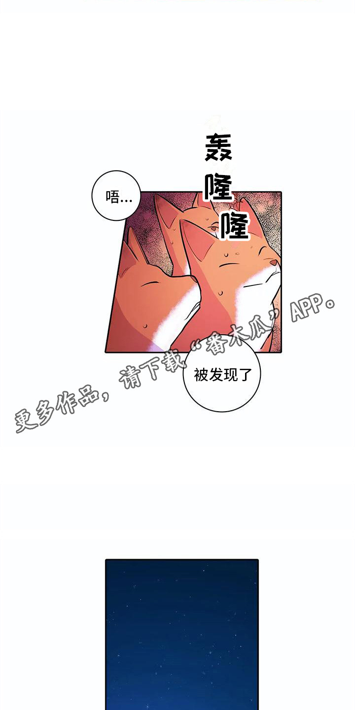 《狐狸咖啡店》漫画最新章节第36章：想要了解免费下拉式在线观看章节第【13】张图片