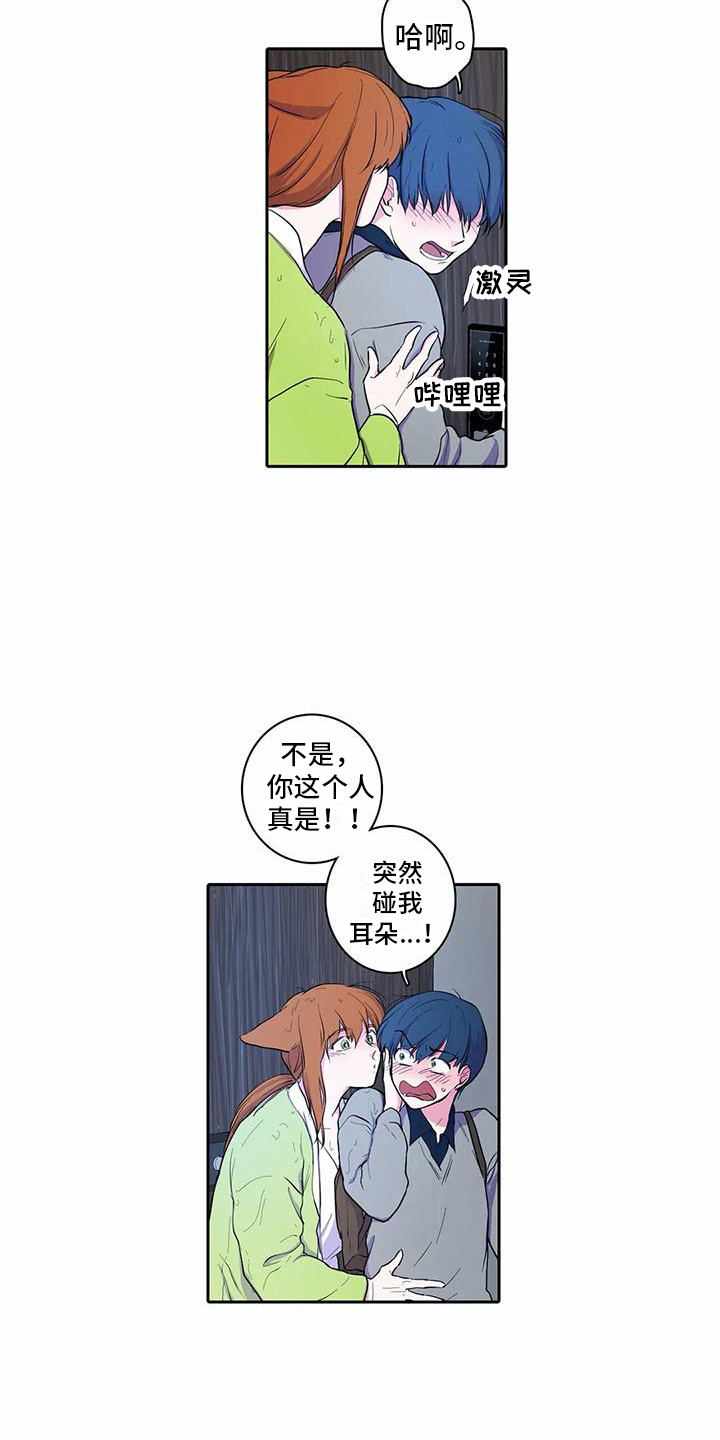 《狐狸咖啡店》漫画最新章节第37章：忐忑免费下拉式在线观看章节第【9】张图片