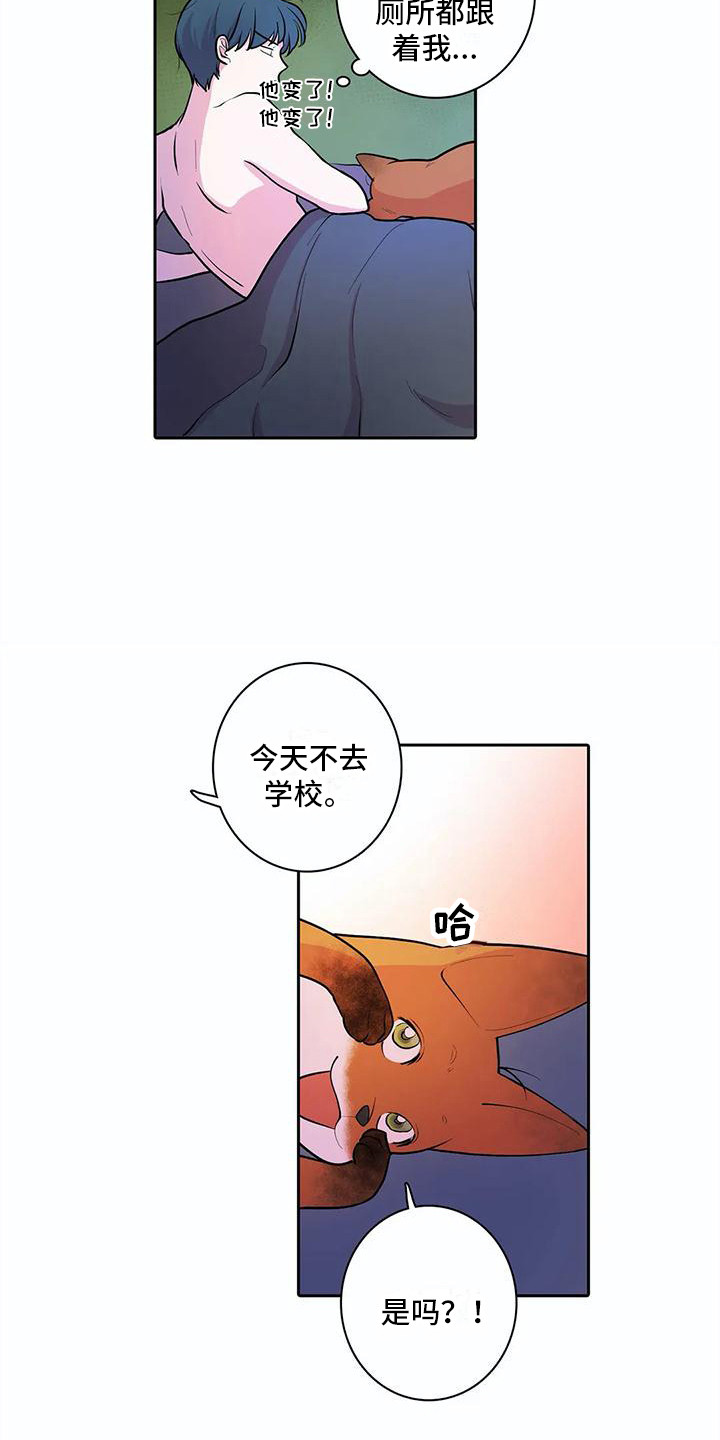 《狐狸咖啡店》漫画最新章节第38章：成长了免费下拉式在线观看章节第【13】张图片