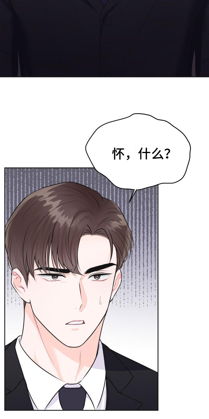 《我爱的宝贝》漫画最新章节第1章：怀孕免费下拉式在线观看章节第【18】张图片