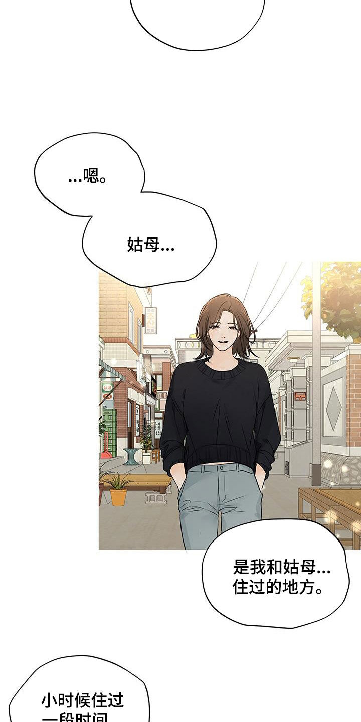 《平行坠落》漫画最新章节第27章：姑母免费下拉式在线观看章节第【20】张图片