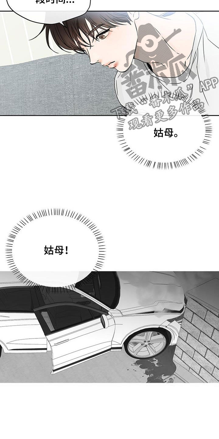 《平行坠落》漫画最新章节第27章：姑母免费下拉式在线观看章节第【19】张图片