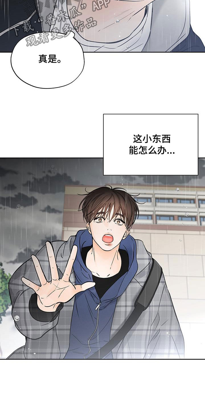 《平行坠落》漫画最新章节第35章：把他除掉免费下拉式在线观看章节第【18】张图片