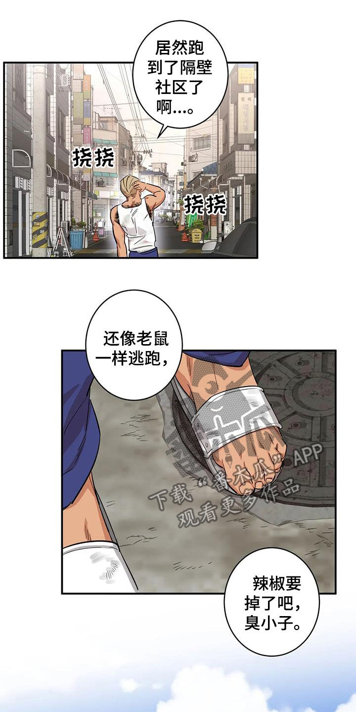 《死亡回避》漫画最新章节第17章：老虎窝免费下拉式在线观看章节第【5】张图片